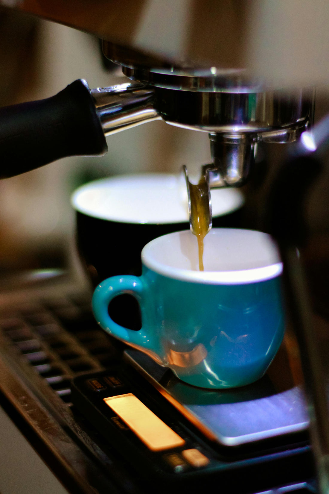 Café espresso: todo sobre el espresso y las 11 bebidas más populares